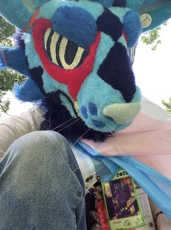 Blue partial fursuiter in a blue fursuit head. The head has black diamond patterns and a large red line around the bottom eye. The eyes are a black and white hypno pattern. The fursuiter is wearing a trans pride flag and kneeling while taking the selfie.