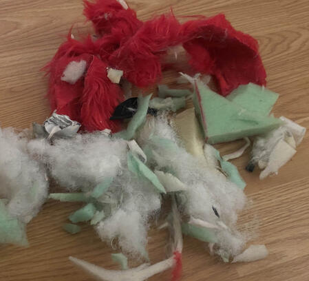 Blue kangaroo partial fursuiter holding up a clunkier lower quality green dragon fursuit head.